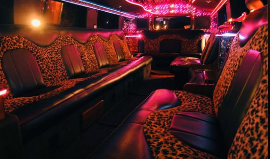 Party bus interior with leopard-print seating, red accent lighting, and a lively, retro vibe.