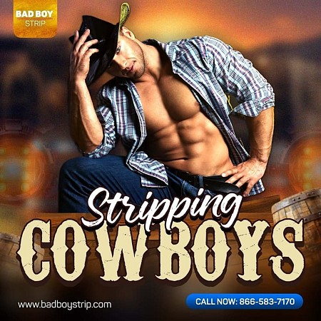 Cowboy Male Strippers image